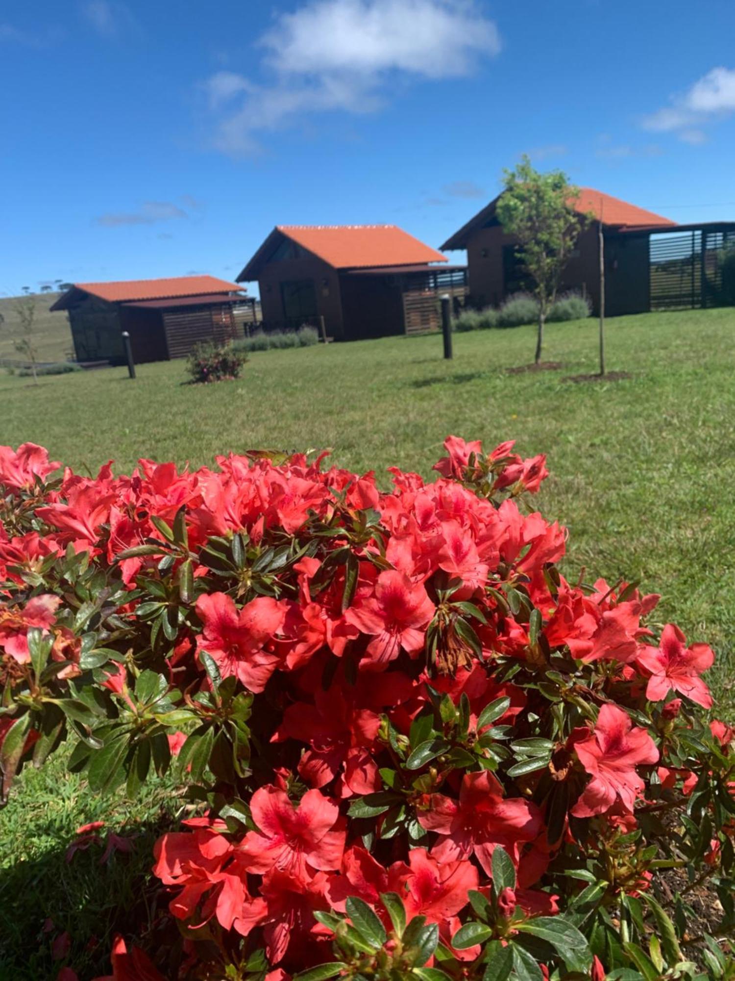 Pousada Querencia Taruma São Joaquim Exterior foto